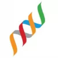 Boehringer Ingelheim Fonds MD Fellowships 2025