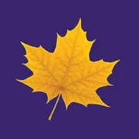 Laurier Scholars Award for Students at WLU 2025