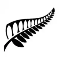 Pacific Health Scholarships 2025
